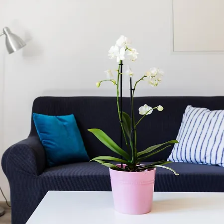 Katarina - Two-bedroom 4 Adults - Izme U Ribnjaka Street No 1 - #2